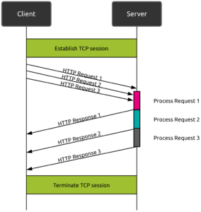 HTTP11 communication using pipelining