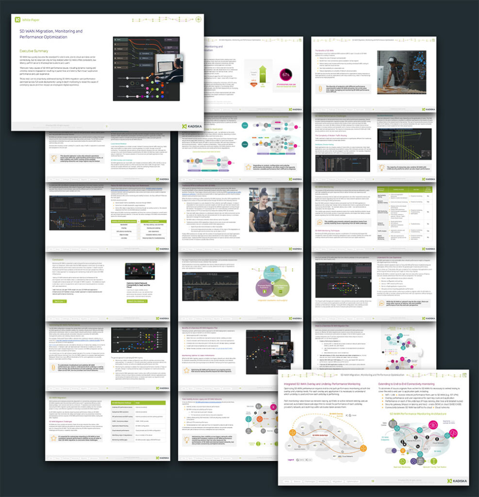 Deploy Monitor and Optimize SD WAN